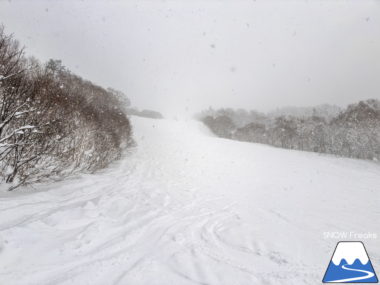 キロロリゾート｜北海道が世界に誇る、ふわっふわのパウダースノーシーズンがやって来ましたよ～♪